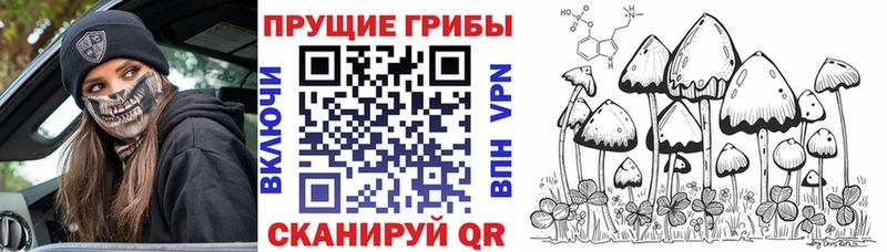 Псилоцибиновые грибы Magic Shrooms  Красногорск 